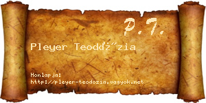 Pleyer Teodózia névjegykártya